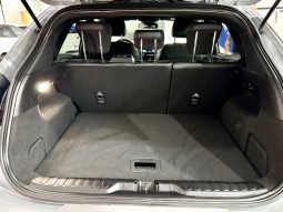 Ford / Puma ST-Line lleno