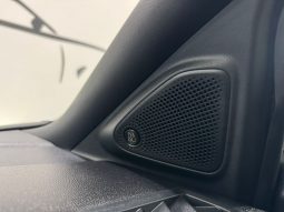 Ford / Puma ST-Line lleno