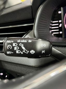 Skoda / Kamiq  TSI DSG lleno