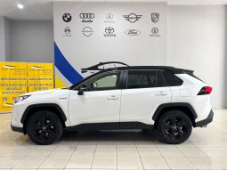 Toyota / RAV4 220H Advance 4WD lleno