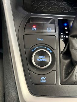 Toyota / RAV4 220H Advance 4WD lleno