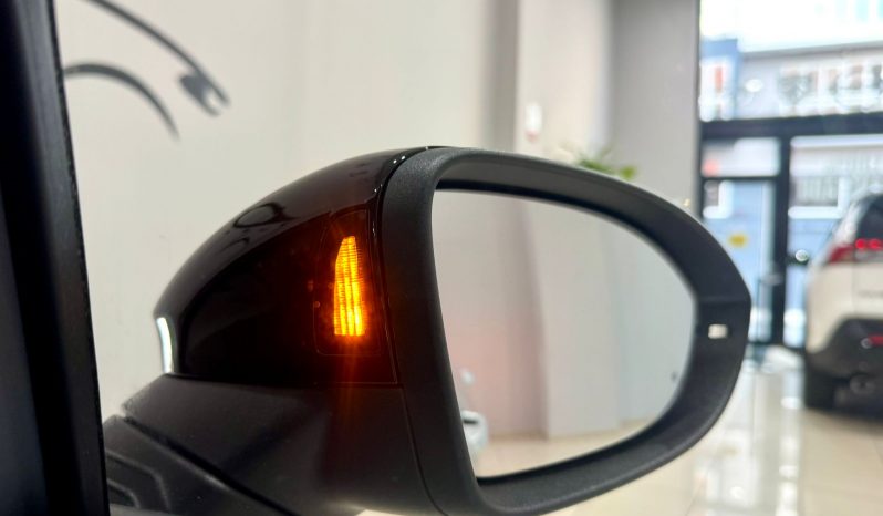 Volkswagen / Golf 2.0 TDI lleno