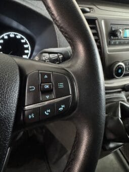 Ford / Custom Furgón L2 lleno