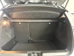 Renault / Captur GLP lleno