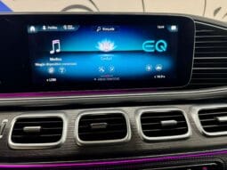 Mercedes Benz / GLE coupe 350de lleno