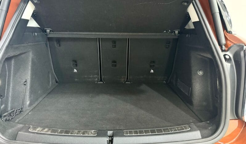 Mini / Countryman One D lleno