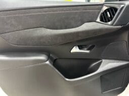 DS / DS-3 Crossback Performance lleno