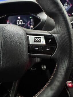 DS / DS-3 Crossback Performance lleno